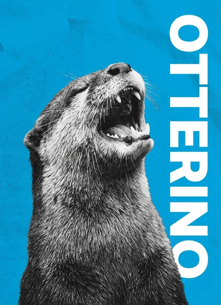 Projektansicht der Otterino Webservices